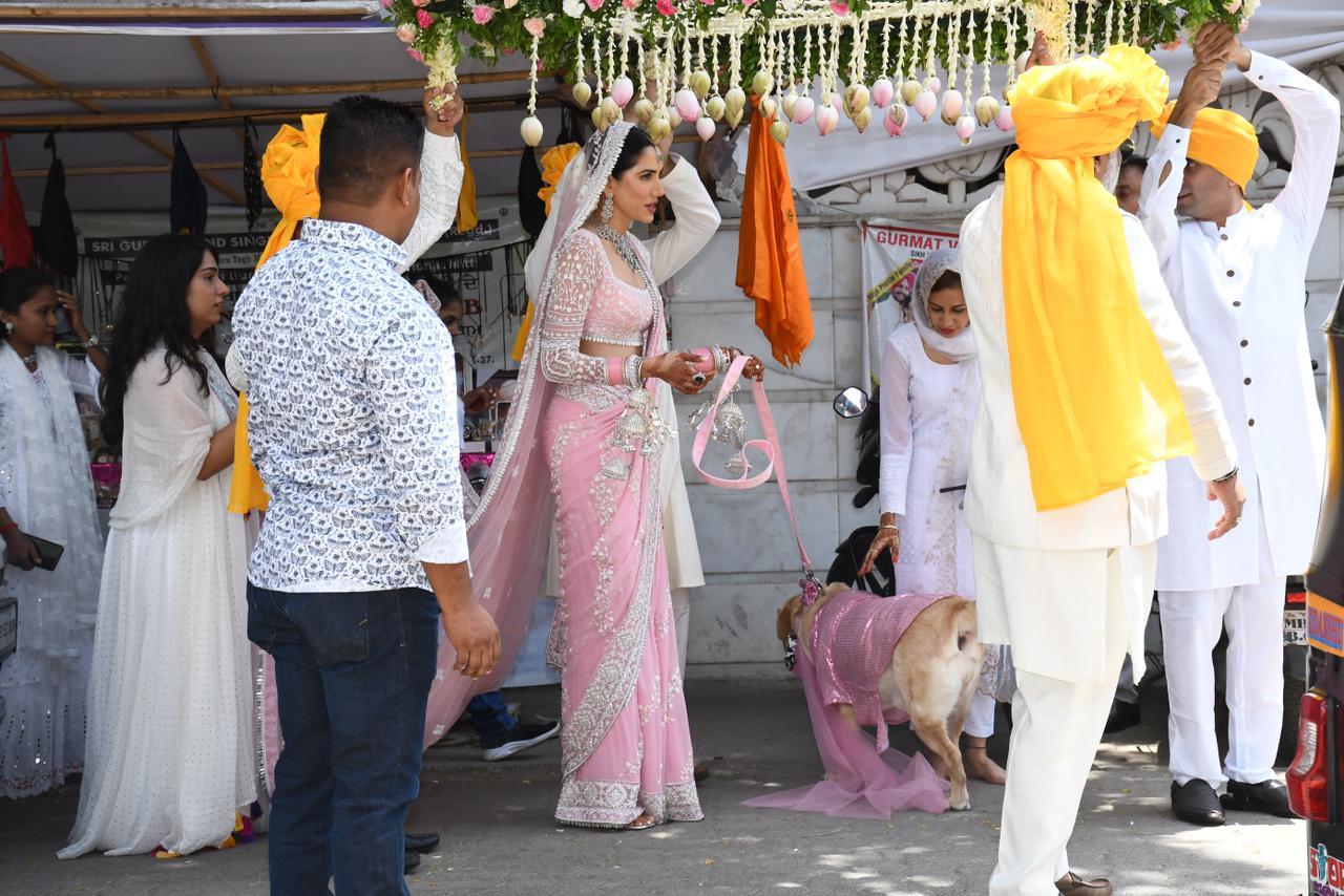 Sonnalli Seygall walked to the wedding venue with her pet dog who was also dressed in pink to match with the bride