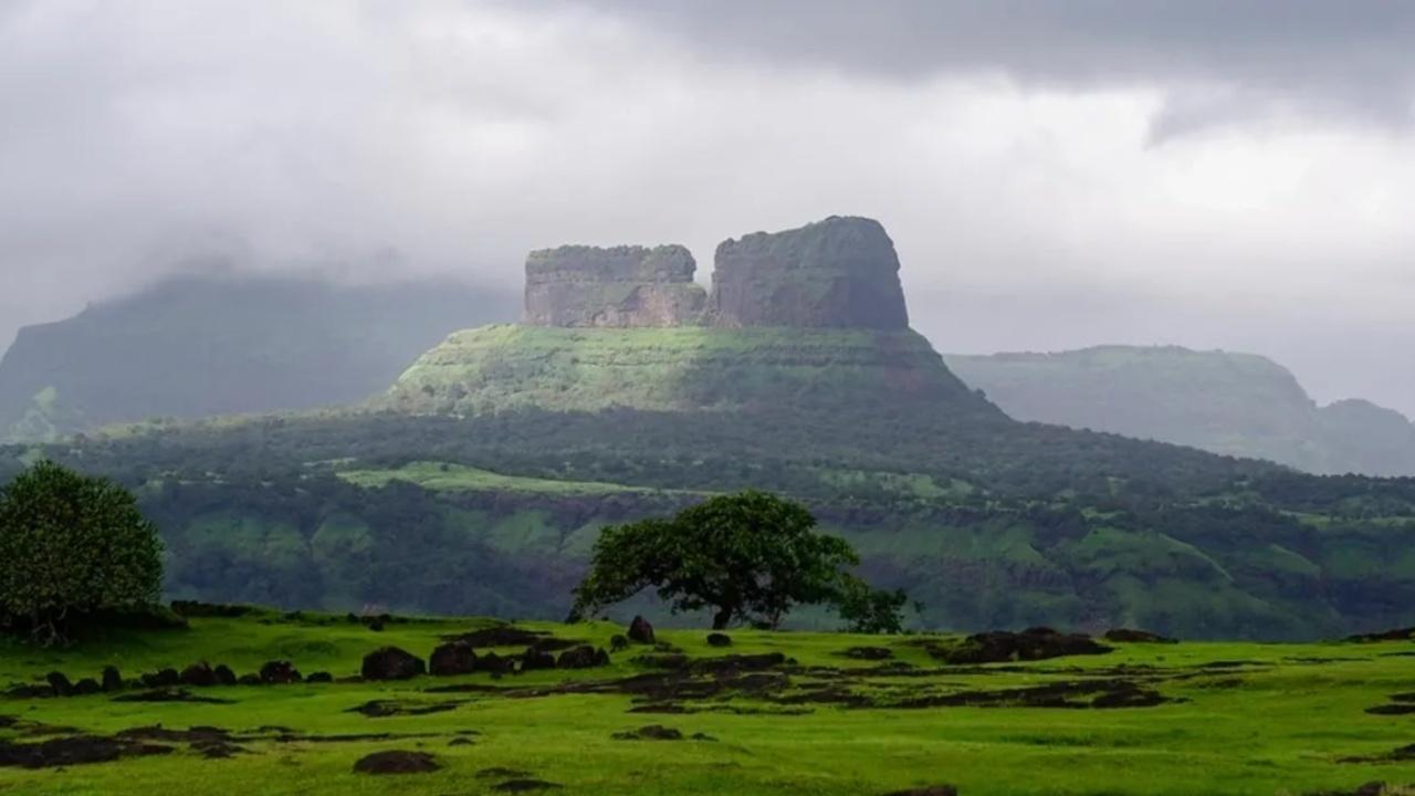 Taila Baila: Bike n HikeEmbark on a classical blend of trekking, sightseeing and bonding with your father amidst nature. Established in Lonavala's region with two giant walls of 200-250 feet, Taila Baila village is a very remarkable destination owing to its nature trail. No rock climbing and rappeling included.
Date: Sunday, June 18Duration: 1 dayDifficulty: ChallengingReporting: Lonavala railway station (Pune) at 8:00 amPrice: 2700 per cyclist with rented bicycle and helmetMore information: https://pedalthirstadventures.com/tail-bail-bike-n-hike