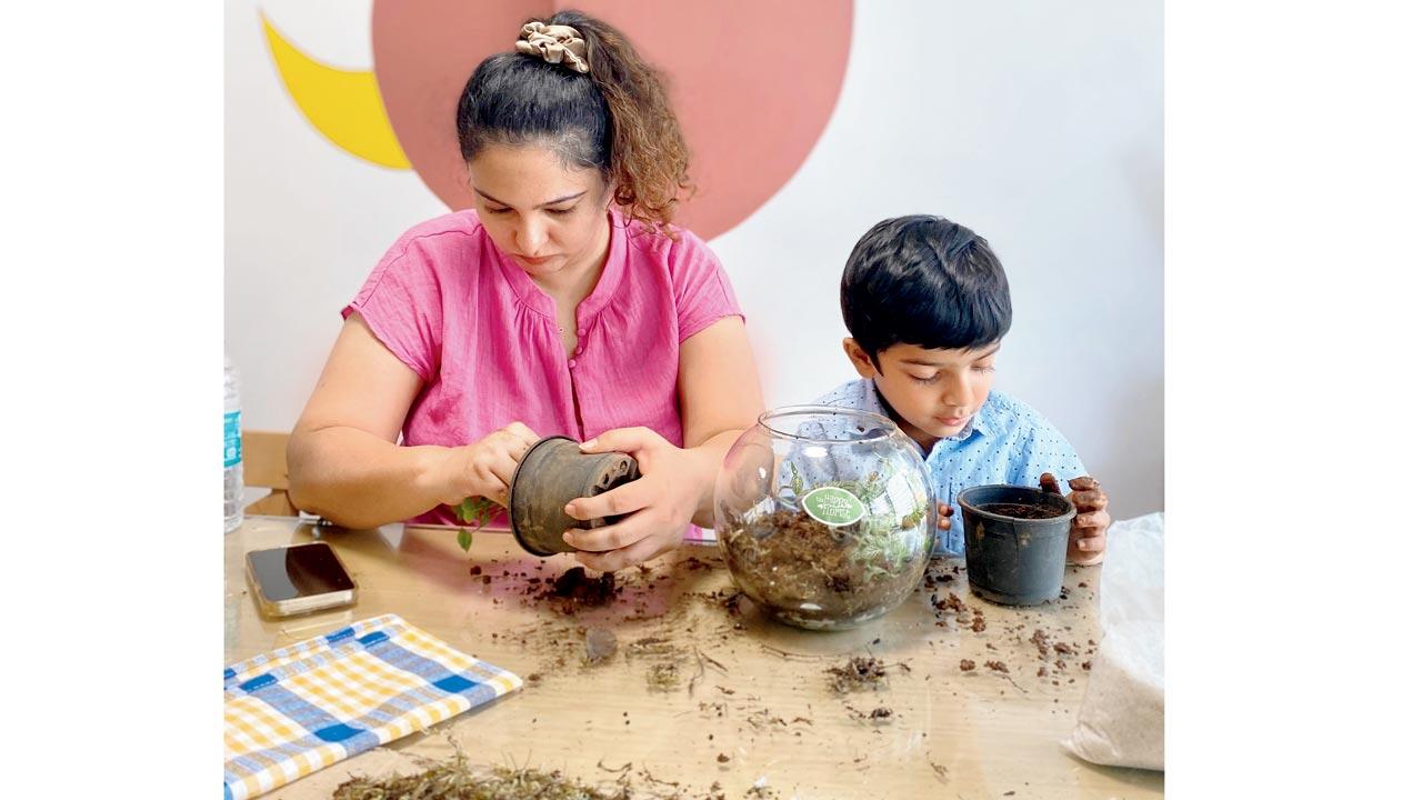 Gardening a fairy tale