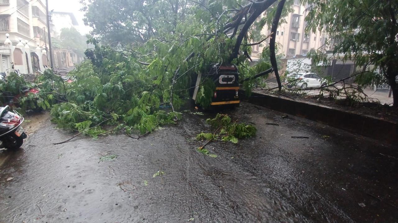 Narrow escape for school children as tree branch falls on auto rickshaw in Ulhasnagar