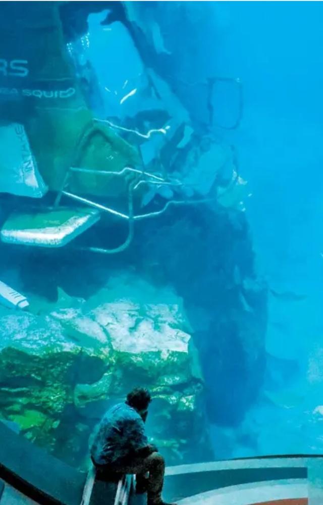 A man soaks in the view of the Endless Ocean from the Observation Deck