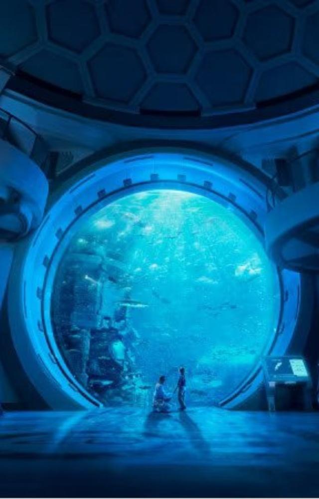 World’s largest multi-species aquarium