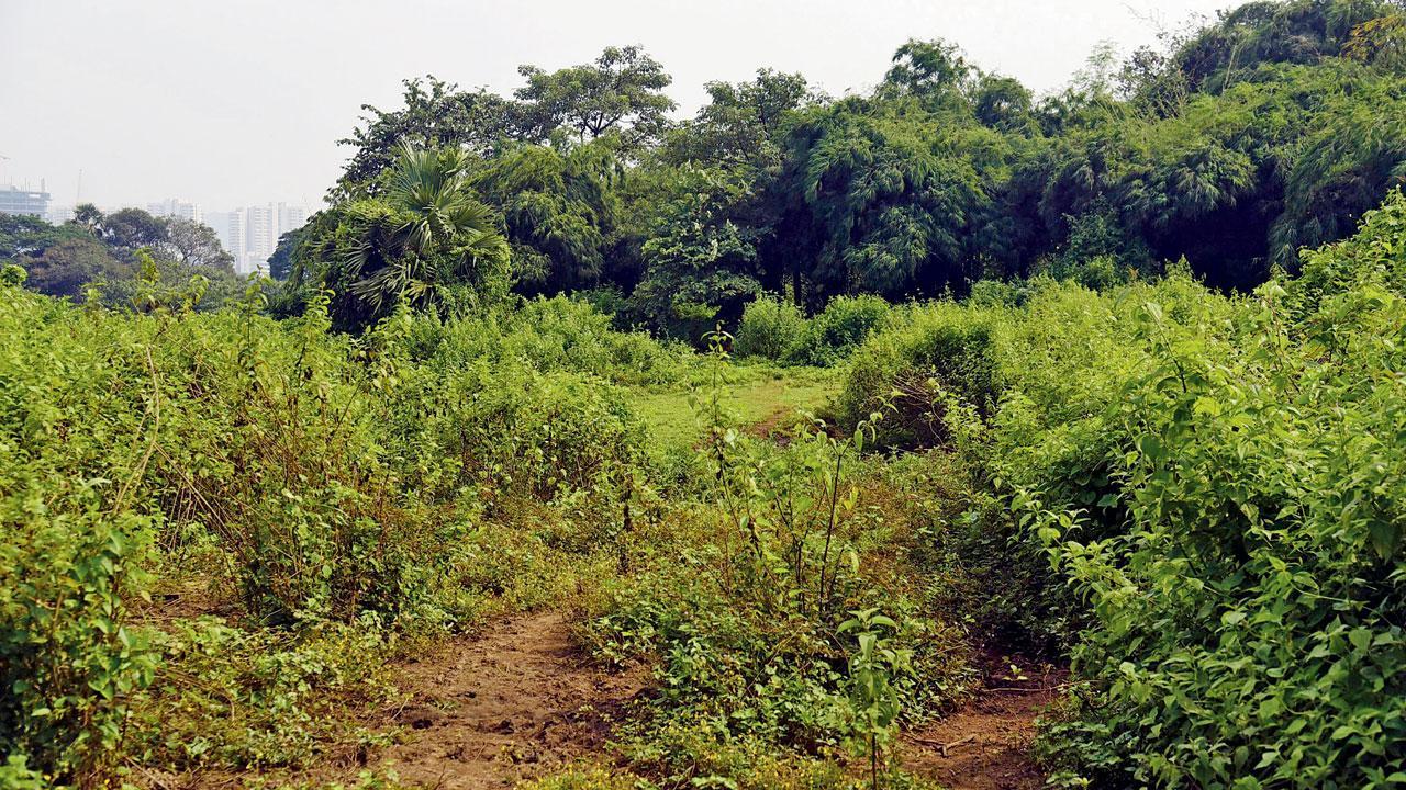 Mumbai: Not received permission to open Aapla Dawakhana in Aarey Colony, says BMC