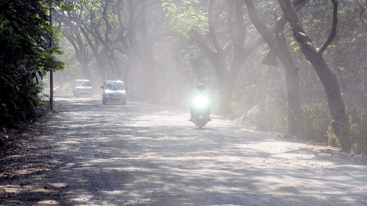 Dust envelopes Aarey due to road work nearby, in Goregaon, in November 2022. Pic/Sameer Markande