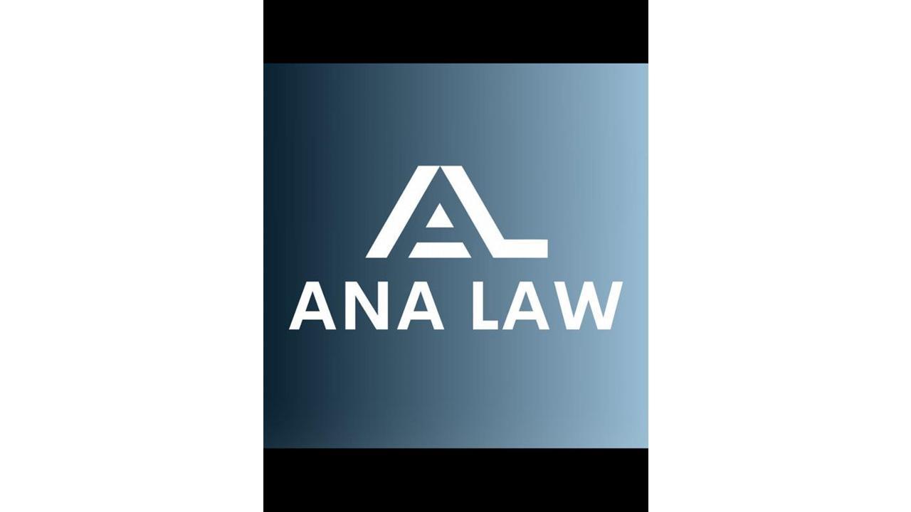 Everything You Need To Know About Ana Law Group - The Chicago Based Law Firm That Specializes In IP Law