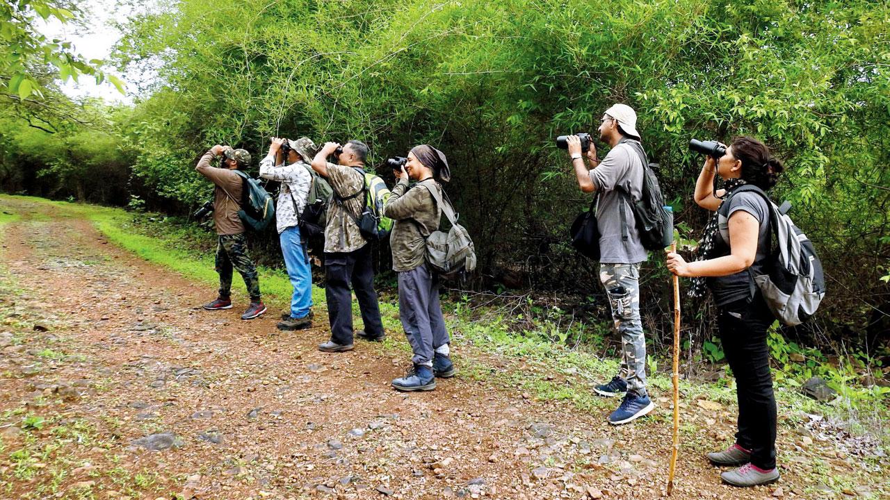 Attendees try to spot birds during a previous walk hosted by the BNHS 
