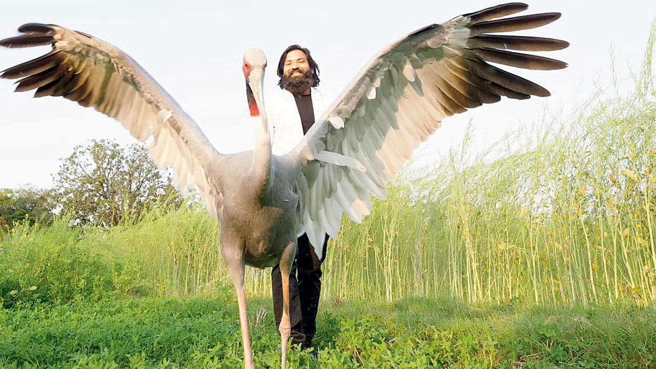 UP man who rescued, cared for crane charged under Wildlife Act