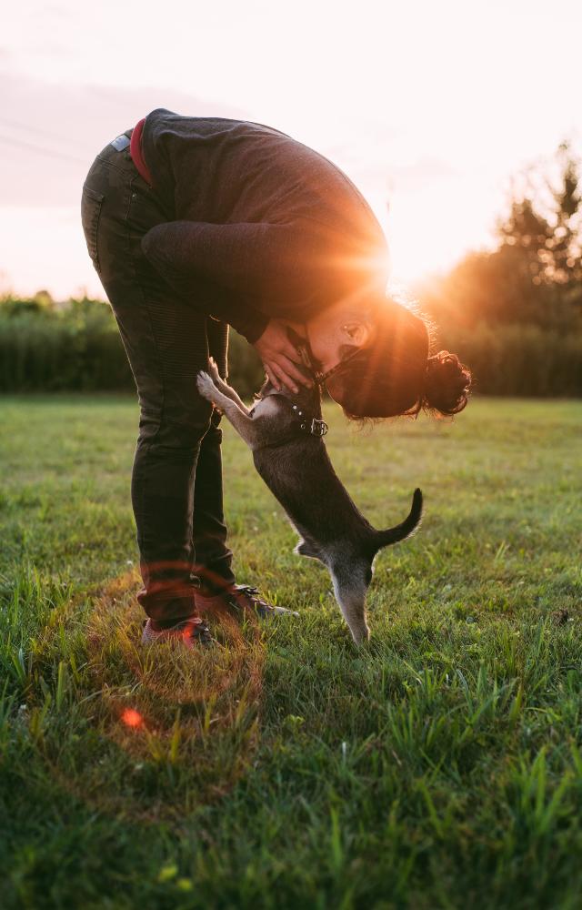 Dogs are known for their unwavering loyalty and love for their owners. They don`t judge, hold grudges or have any ulterior motives. They simply love their owner