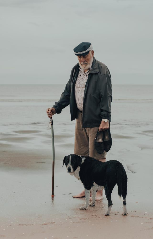 Dogs are social creatures and love being around people. There companionship can help people who live alone or who suffer from anxiety or depression.