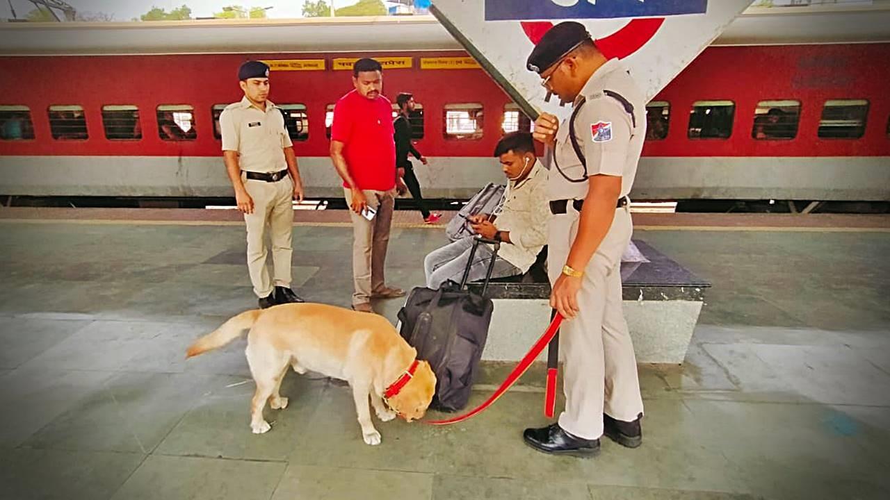 RPF's Dog Squad: The 'canine heroes' of Central Railway