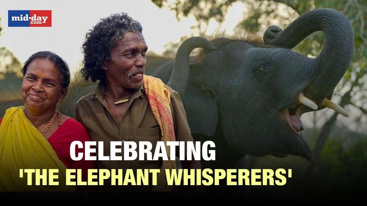 Celebrating the Oscar 2023 winning documentary film 'The Elephant Whisperers'