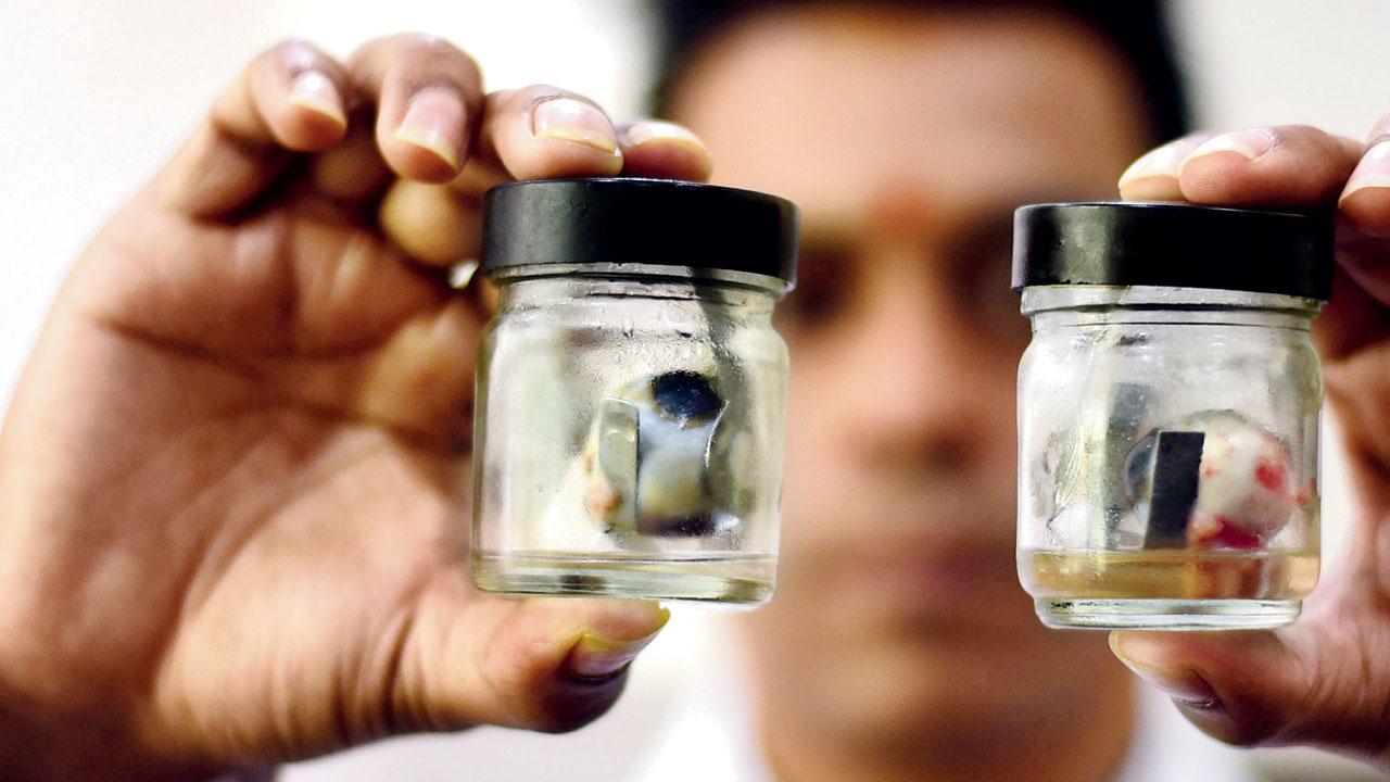 We were forced to dispose of 1,000 corneas, informs Mumbai’s oldest eye bank