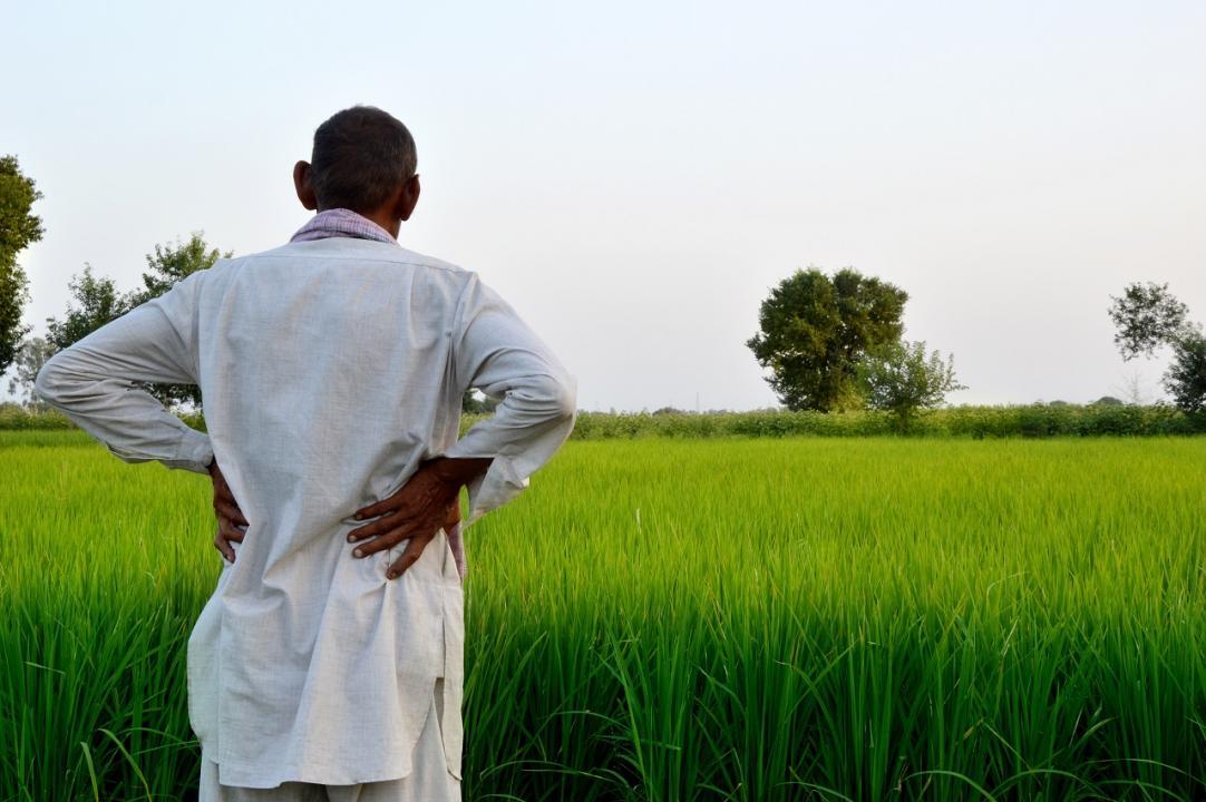 Farmers committing suicide is not new issue: Maharashtra agriculture minister