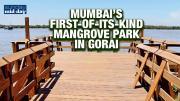 Gorai, Mumbai's Mangrove Park Walkthrough Video: A New Haven for Nature Lovers