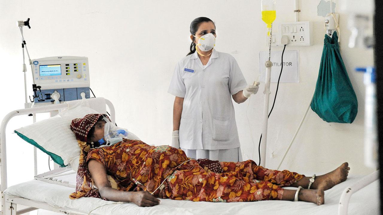 India’s first H3N2 deaths from Karnataka, Haryana