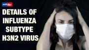What Is H3N2 Virus? What Are Its Symptoms? Know Entire Details Of Influenza Subtype H3N2 Virus