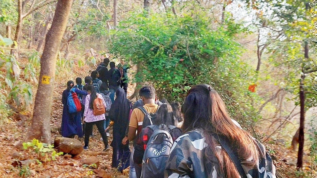 Participants walk in the CEC forest during a tree walk conducted earlier this year