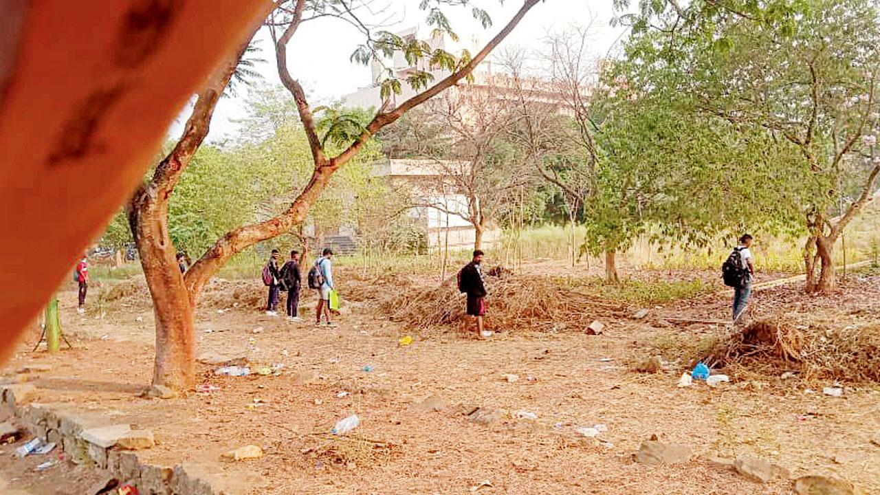 Open defecation: A common sight on Mumbai University's Kalina campus