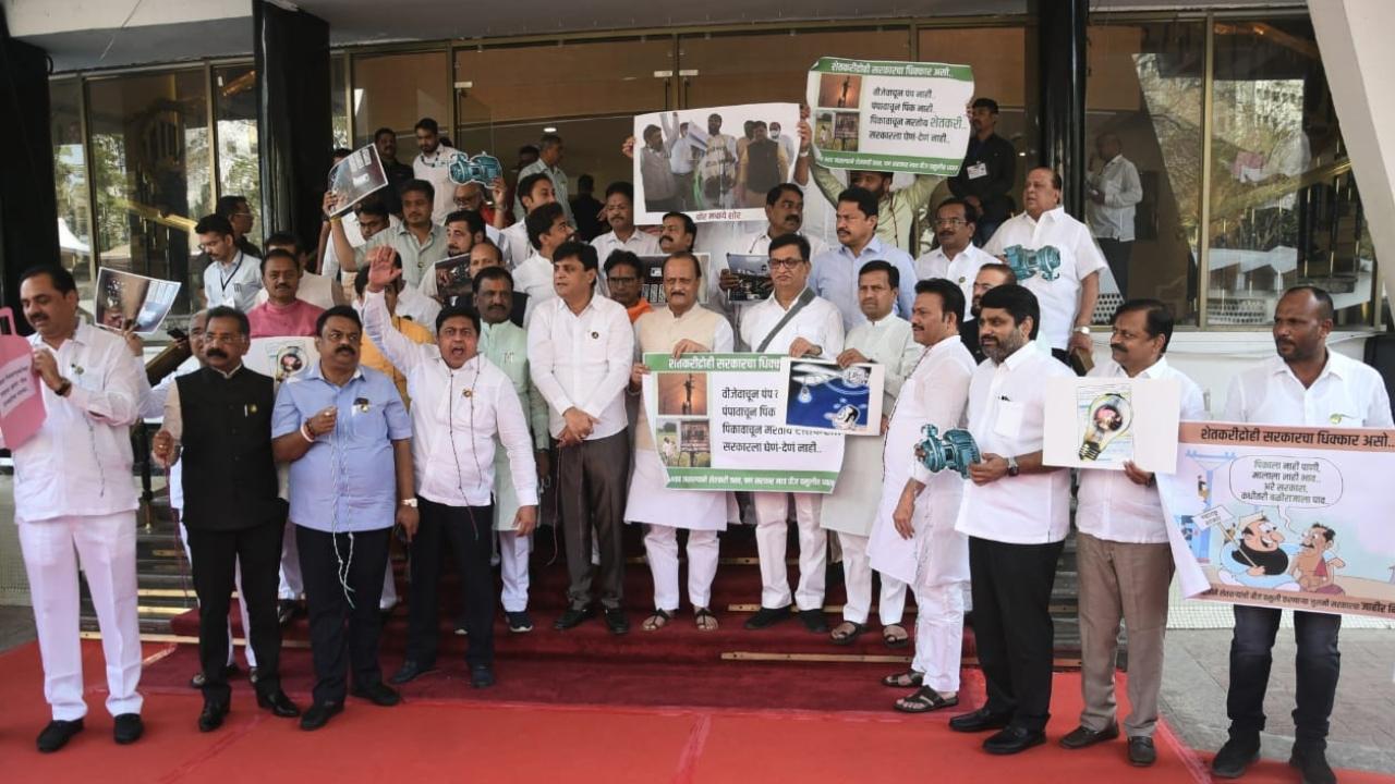 IN PHOTOS: Maharashtra Opposition leaders protest during state's budget session