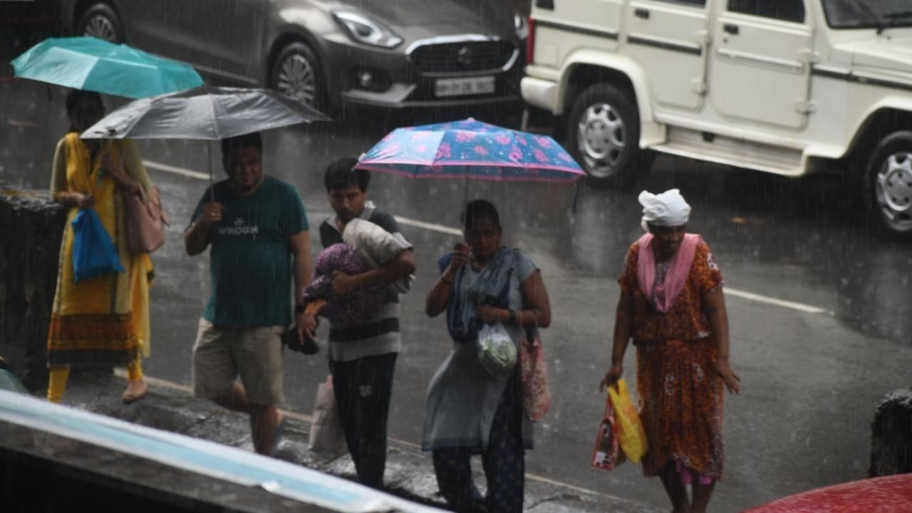 In the island city, Central Mumbai areas like Mondavi fire station, Memonwada fire station, Byculla fire station, and BMC headquarters reported 28 mm, 25 mm, 23 mm and 19 mm rainfall, respectively. Eastern suburbs like Mulund, Gavanpada, and Bhandup Complex recorded 20 mm and 19 mm rainfall respectively between 6 am to 7 am. In the Western suburbs, Dahisar fire station and Chincholi fire station reported 18 mm and 14 mm rainfall, respectively Pic/Ashish Raje
