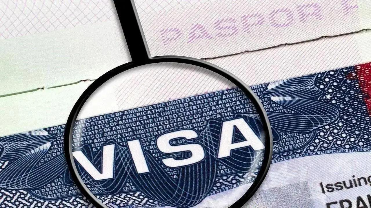 'Wait time for US visitor's visa interview in India reduced by 60 pc this year'