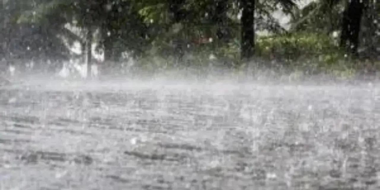 Maharashtra: Unseasonal rains hit parts of Nashik