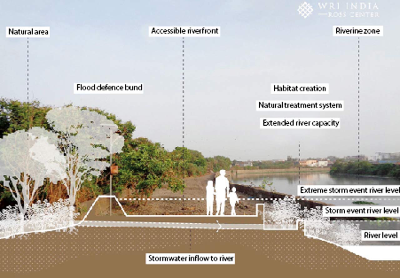 Conceptualised accessible multifunctional water-sensitive riverbank with expanded stormwater capacity and riverine biodiversity.  PIC/Abhijit Waghre, WRI India. graphics/Sahil Kanekar, WRI India