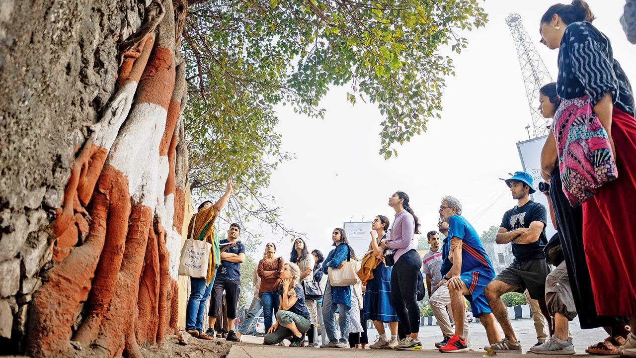 Spot urban flora walking through Bandra this Sunday