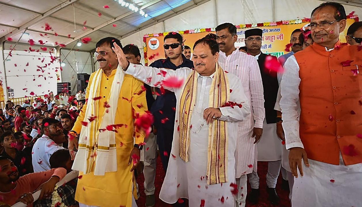 BJP will win more than 200 seats in Madhya Pradesh assembly polls, says JP Nadda