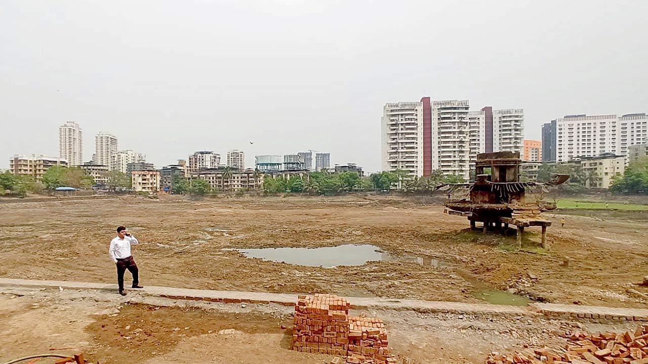 Thane: MMRDA, TMC killing aquatic life in Railadevi lake, say activists