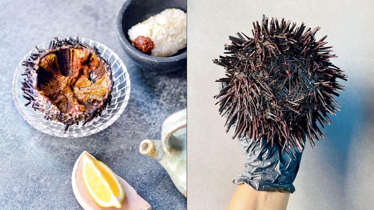 Sea Urchins. Pic courtesy/Instagram (right) the dish served at the eatery