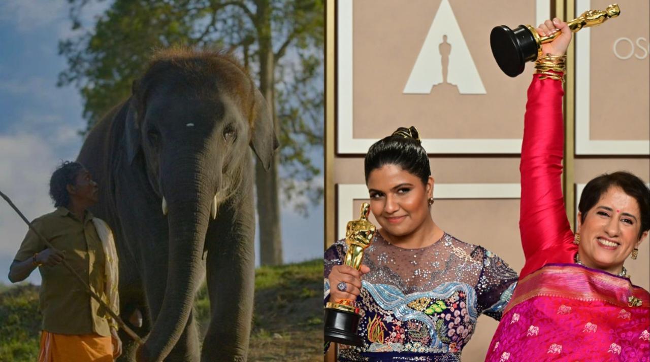 Kartiki Gonsalves, Guneet Monga's 'The Elephant Whisperers' is a great achievement for women filmmakers: World Elephant Day founder