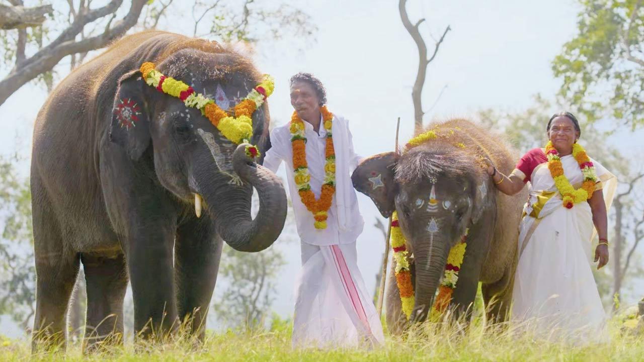 Will 'The Elephant Whisperers' shine light on elephants, indigenous communities?