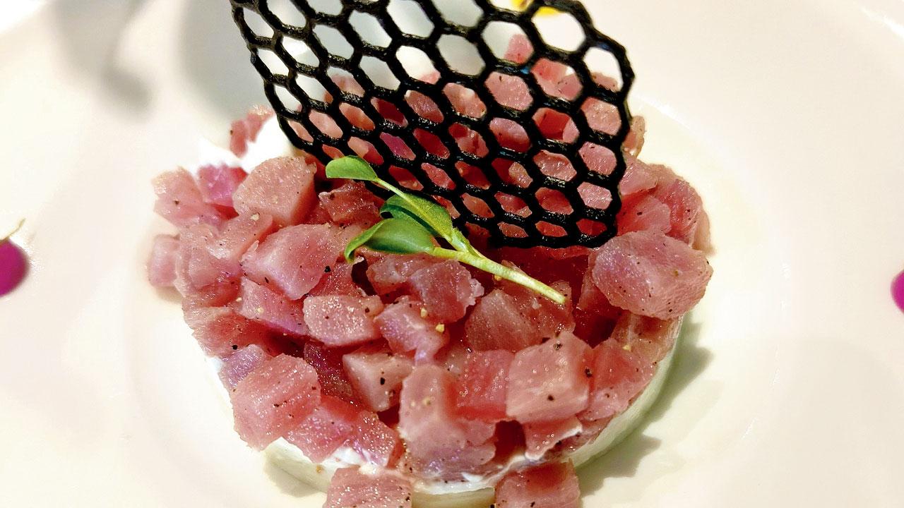 Tuna Fin
