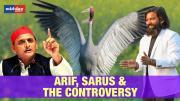 Man’s Special Bond With Sarus Crane Takes Political Turn