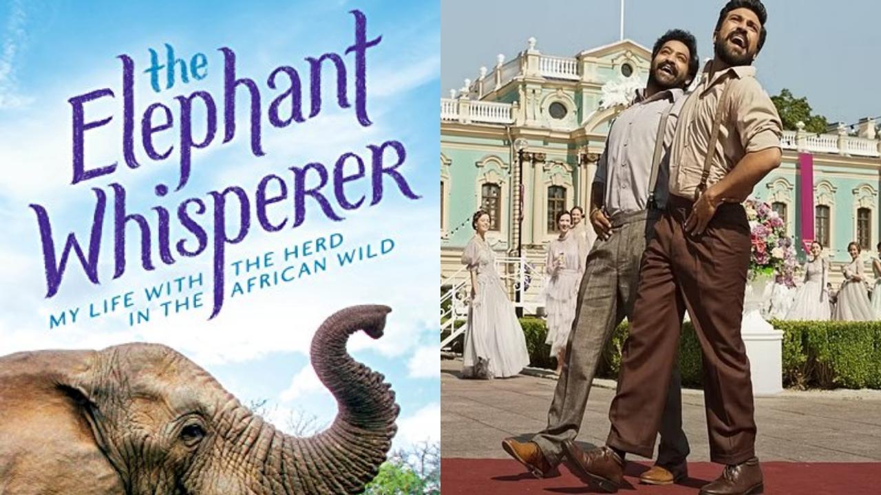 Rajinikanth to Ajay Devgn, celebs laud 'RRR,' 'The Elephant Whisperers' Oscar wins