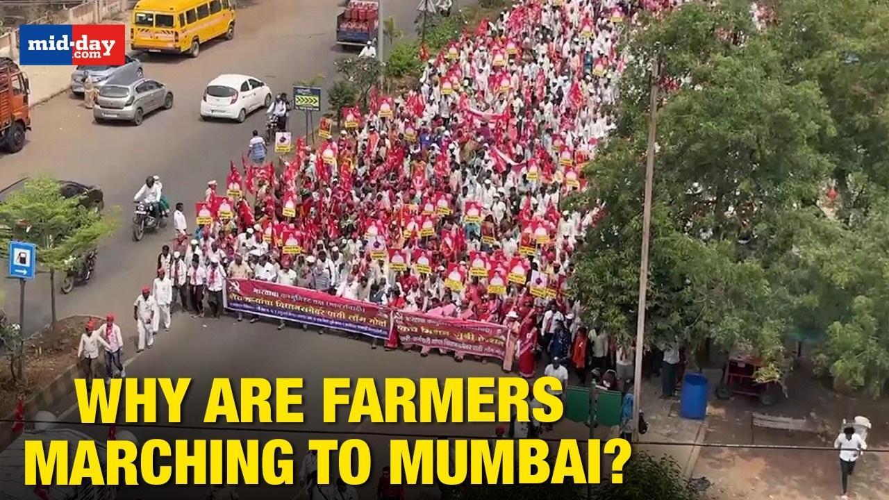 Farmers March From Nashik To Mumbai, Know Why