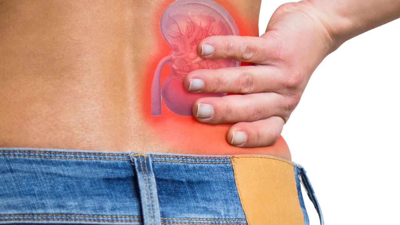 Study reveals that common kidney disease is caused by swelling from sugar