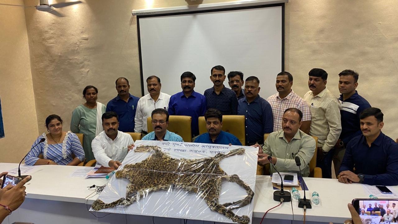 World Wildlife Day 2023: Navi Mumbai Police nab man for hunting leopard, seizes gun and skin of big cat