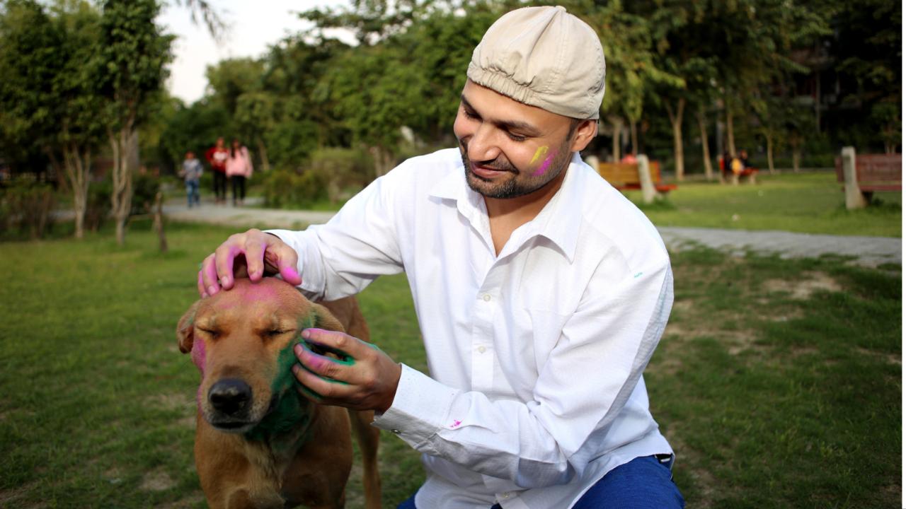 Don't force your pet to participate in the celebrations, or put colour on themWhile you may want them to be a part of the celebrations, it's important to respect their boundaries. Chemicals in colours can be extremely harmful for them, it is important to ensure we don’t put any colour on them. Photo/iStock