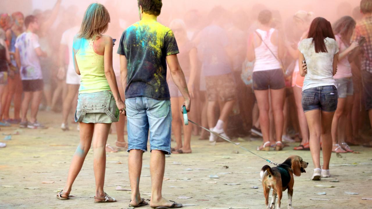 Wipe after every walkColour play during Holi is usually not limited to a single-day, so it is advisable to clean the paws of your dog every time you take them out for a walk, because if there are harmful colours on the road, it can irritate their skin. Make sure to wipe them down with a gentle pet wipe. Photo/iStock