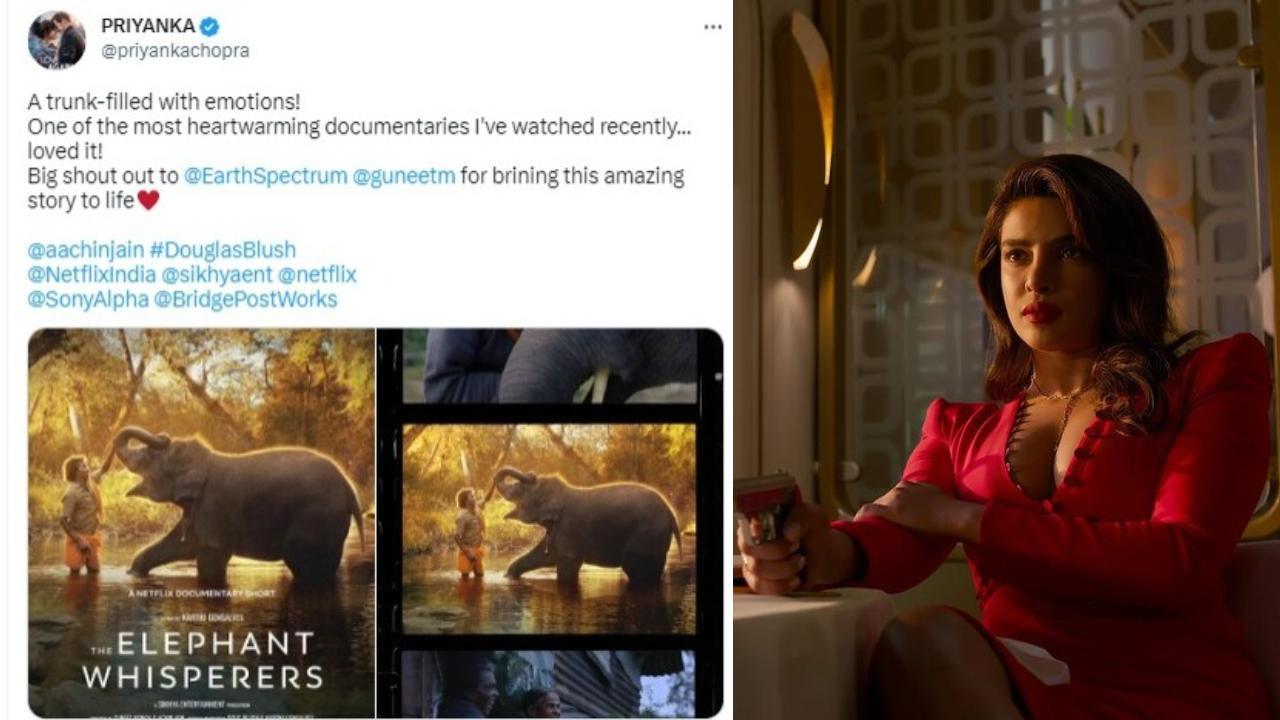 Priyanka Chopra is all praises for the Oscar nominated documentary, The Elephant Whisperers