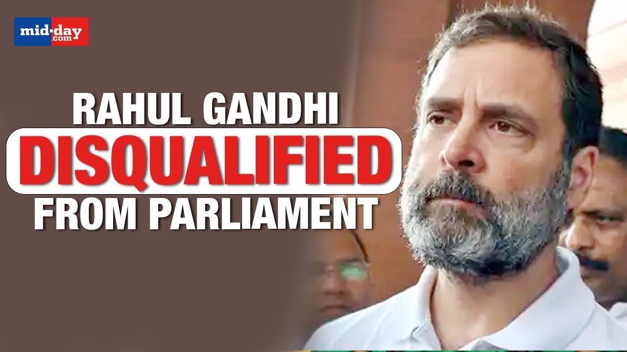 Rahul Gandhi Disqualified As MP From Lok Sabha