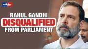 Rahul Gandhi Disqualified As MP From Lok Sabha