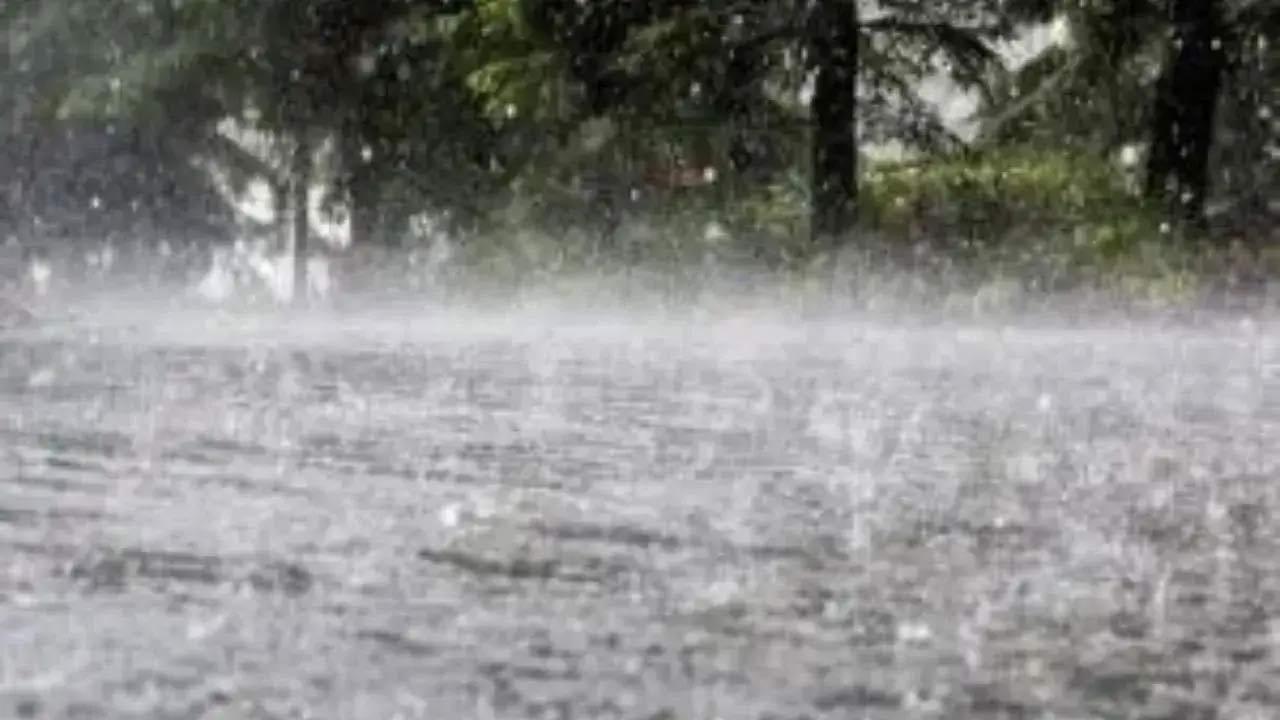 Maharashtra: 22 per cent crop loss survey completed in rain-hit Marathwada