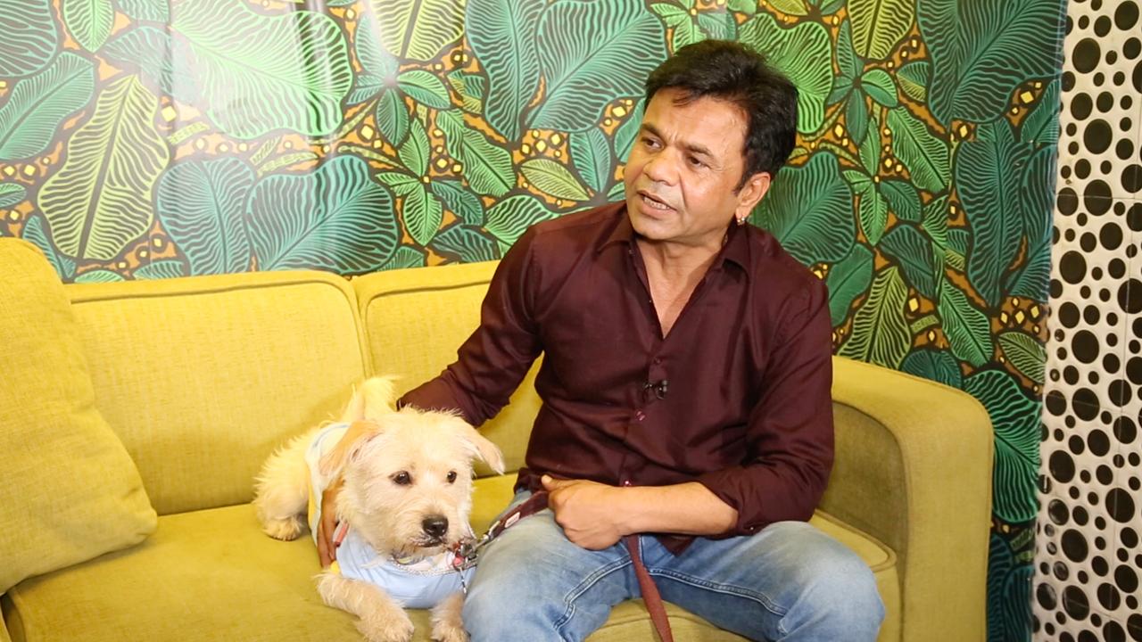'Paltu Life' is to spread awareness about animals and I congratulate families who feed pets and look after them. 'Paltu Life' is all about taking responsibility and making a commitment towards animals.