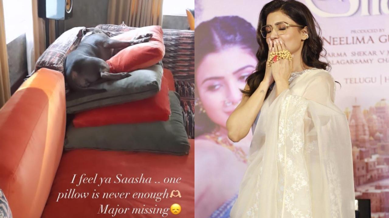 Samantha Ruth Prabhu shares cute picture 
