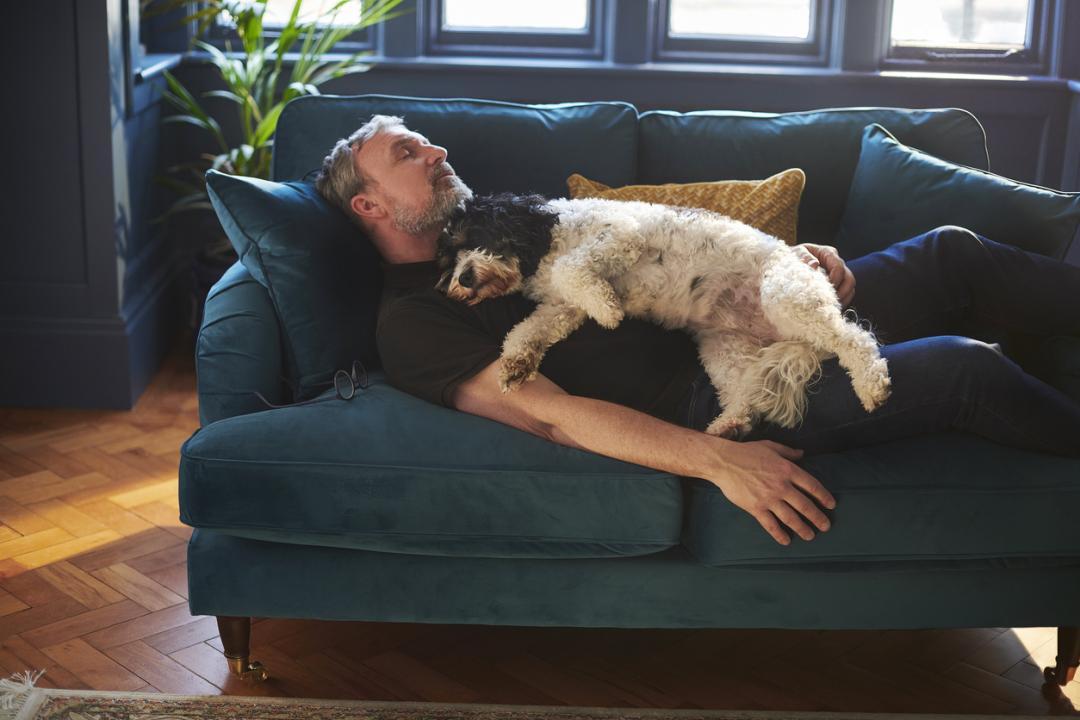 Having restless nights? New study states your lovely pet dog or cat might be the reason 