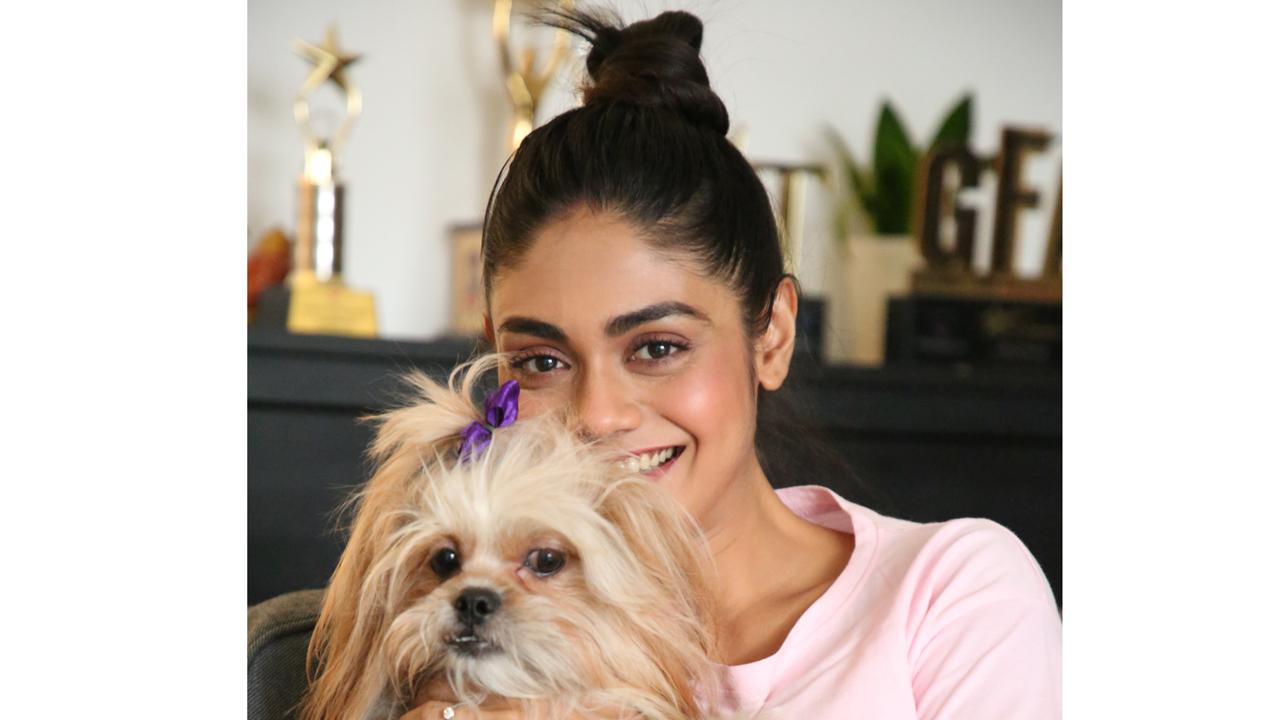 Sreejita De introduces fans to her pets Franny and Casper. Find out all about how they entered her life, their rapport with her fiance Michael and much more!