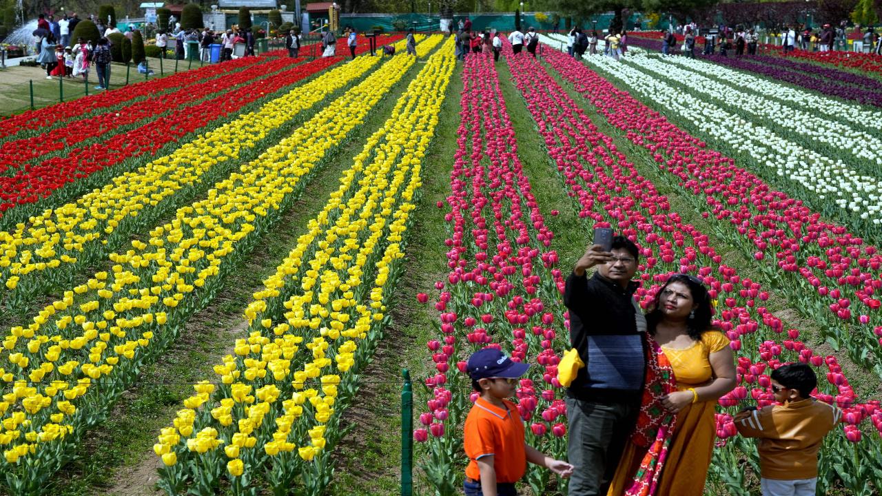 According to the officials, approximately 106,000 people visited the garden during its first seven days, with more than 35,000 visitors on the third day alone. Although rainy days and low temperatures affected the bloom from March 24 to March 26, the garden is still a flowery wonderland with 80 percent of the garden in full bloom. 